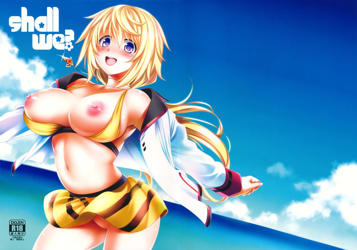 IS 109 Infinite Stratos Hentai Doujinshi
