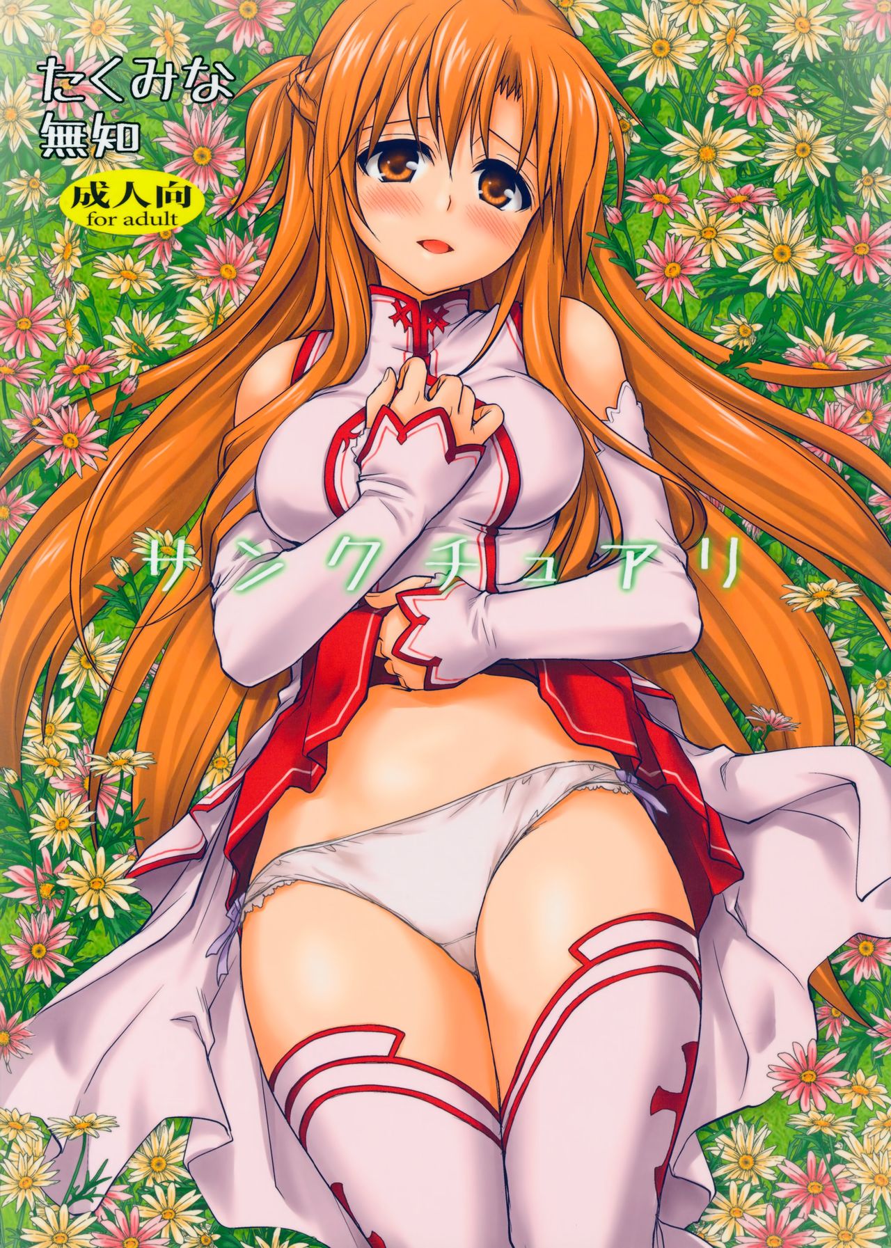 SAO 302 Sword Art Online Hentai Doujinshi