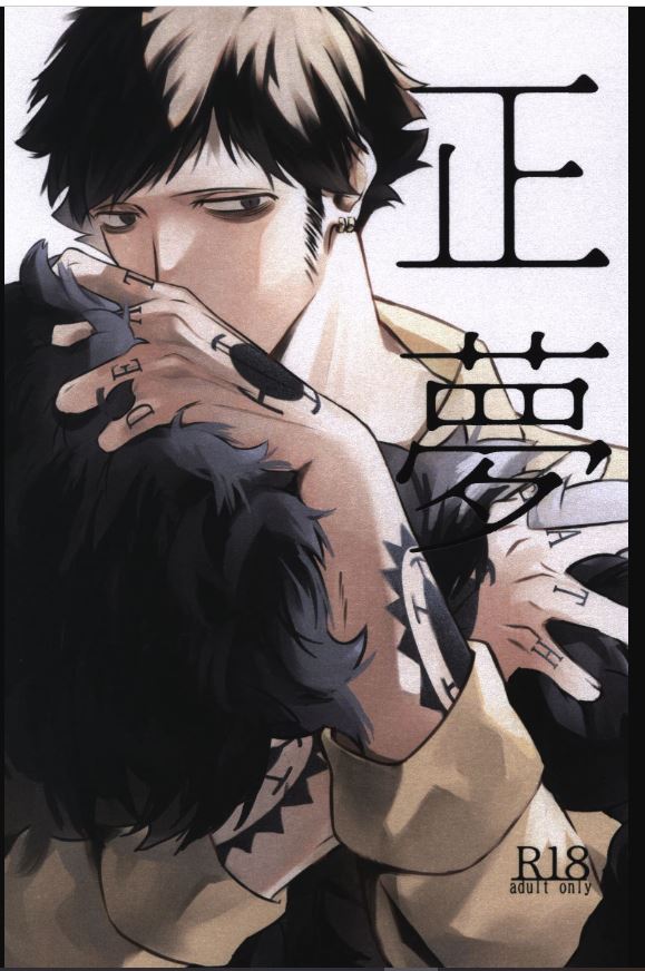 OP 671 One Piece Hentai Yaoi Doujinshi