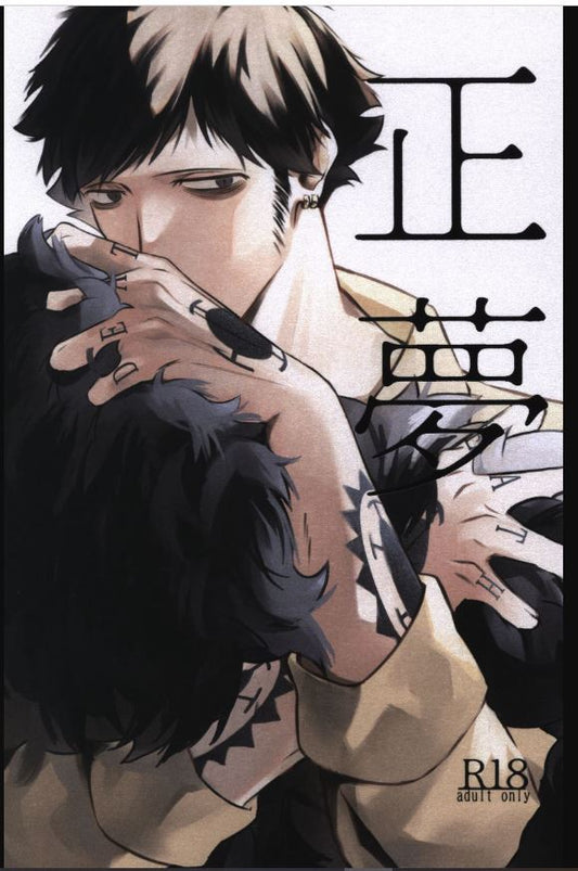 OP 671 One Piece Hentai Yaoi Doujinshi