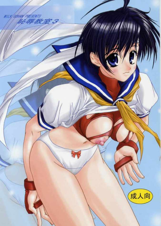 SF 123 Street Fighter Hentai Doujinshi