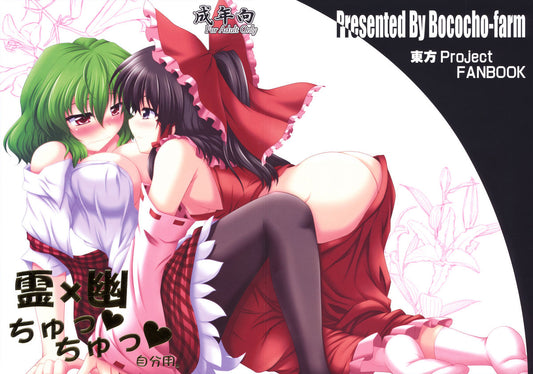 TP 200 Touhou Project Yuri Hentai Doujinshi